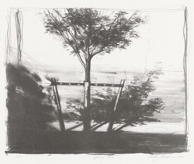Young Tree