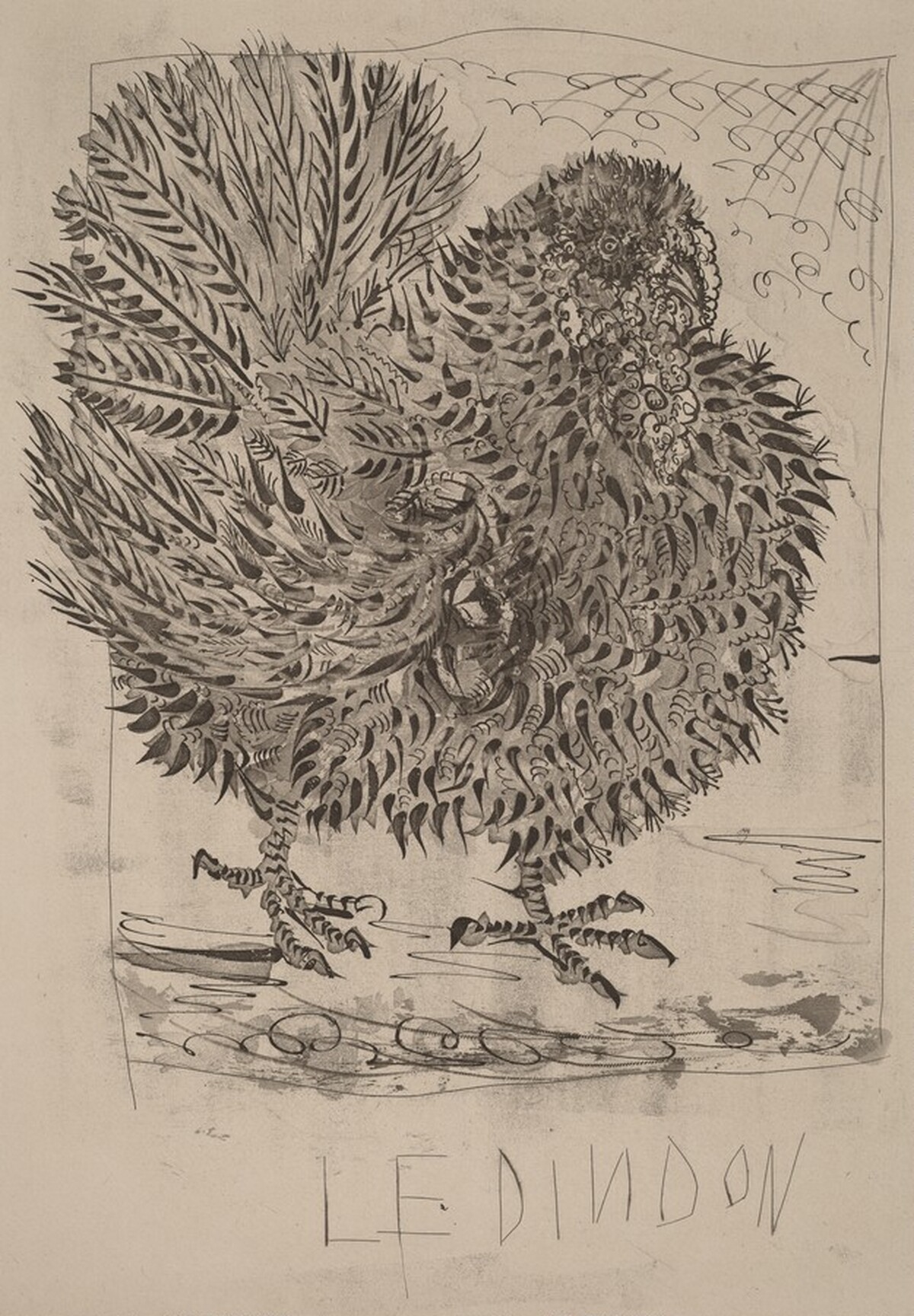 Le Dindon (The Turkey) by Pablo Picasso