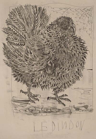 Le Dindon (The Turkey)