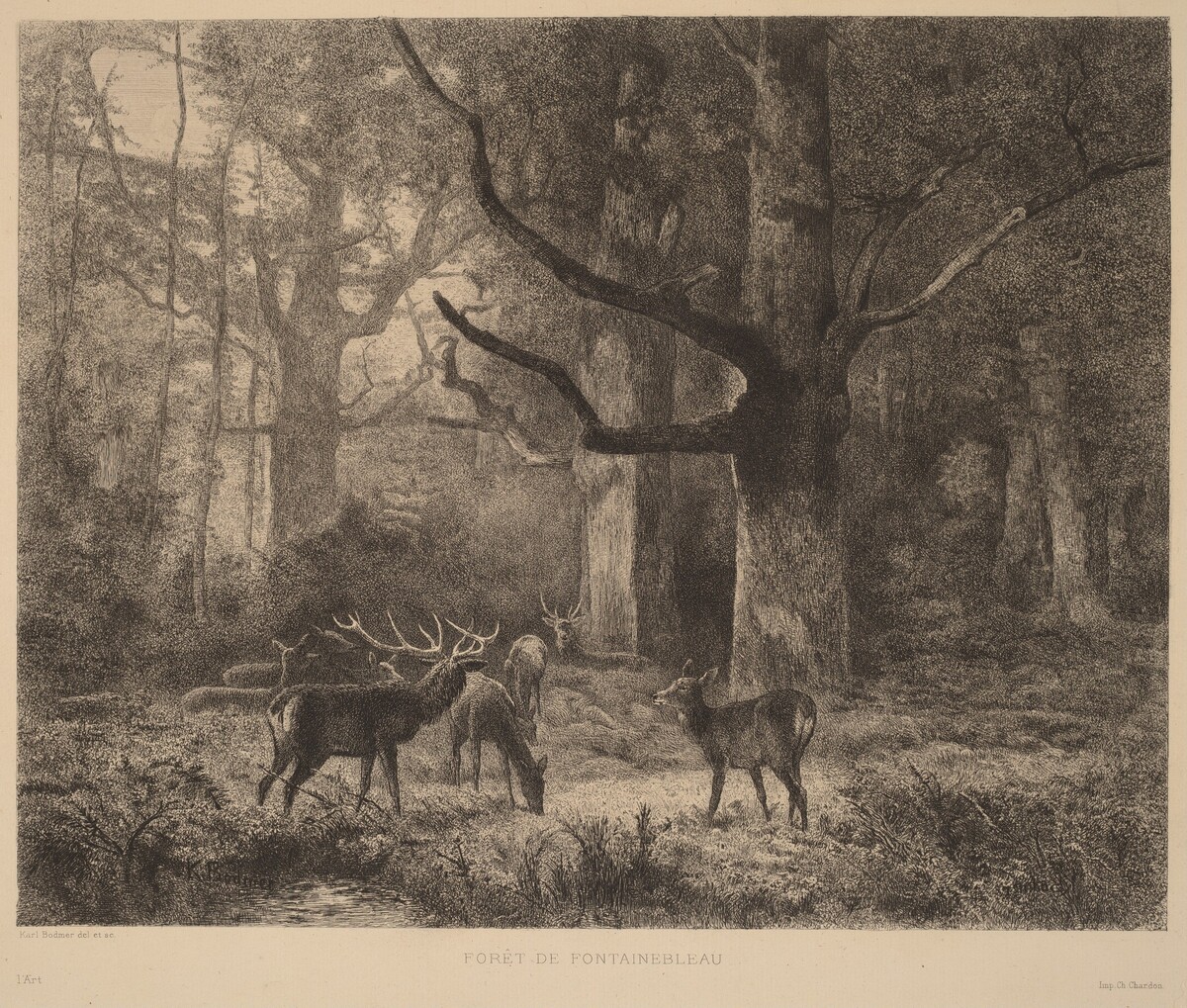 Forêt de Fontainebleau by Karl Bodmer