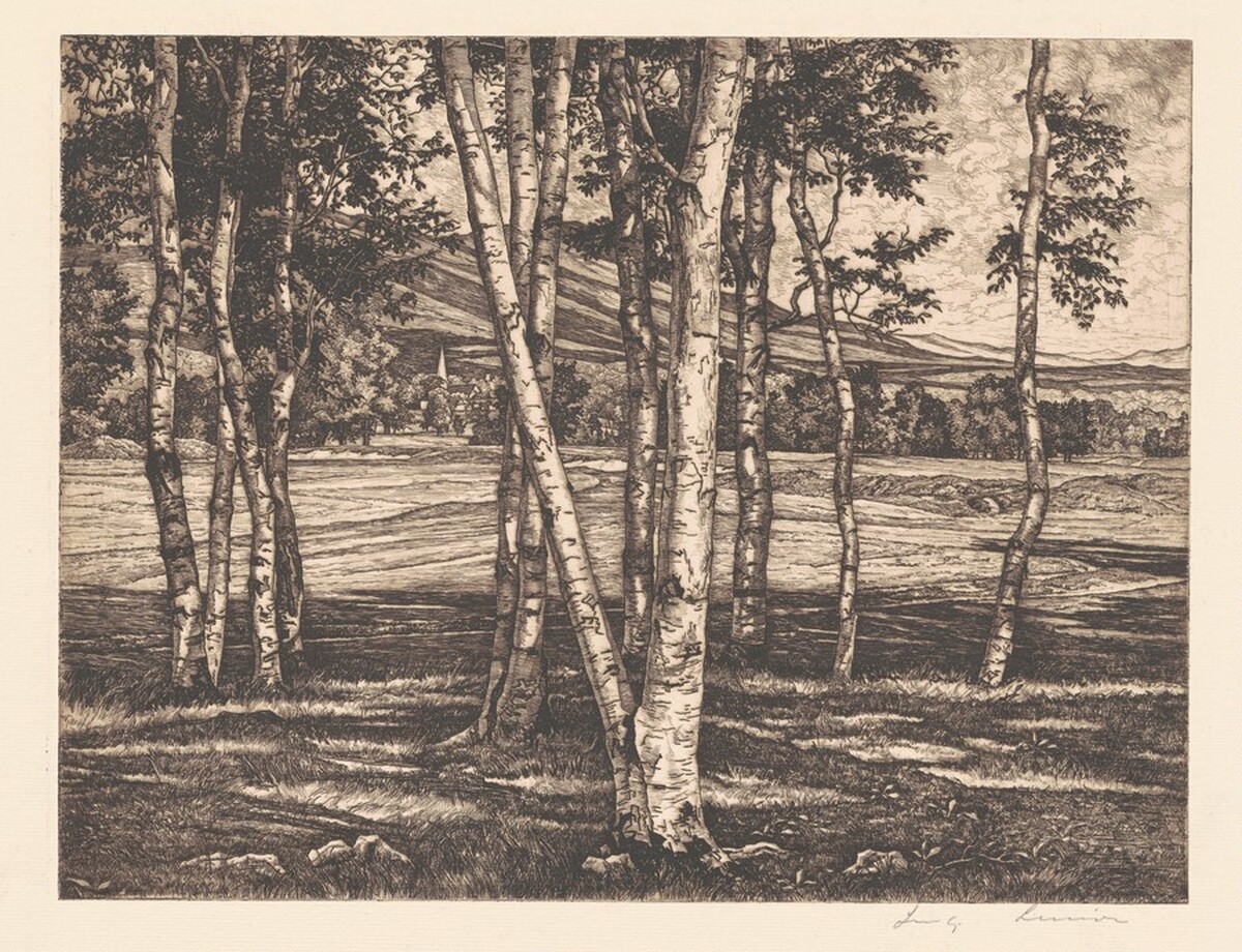 Edge of the Birches by Luigi Lucioni