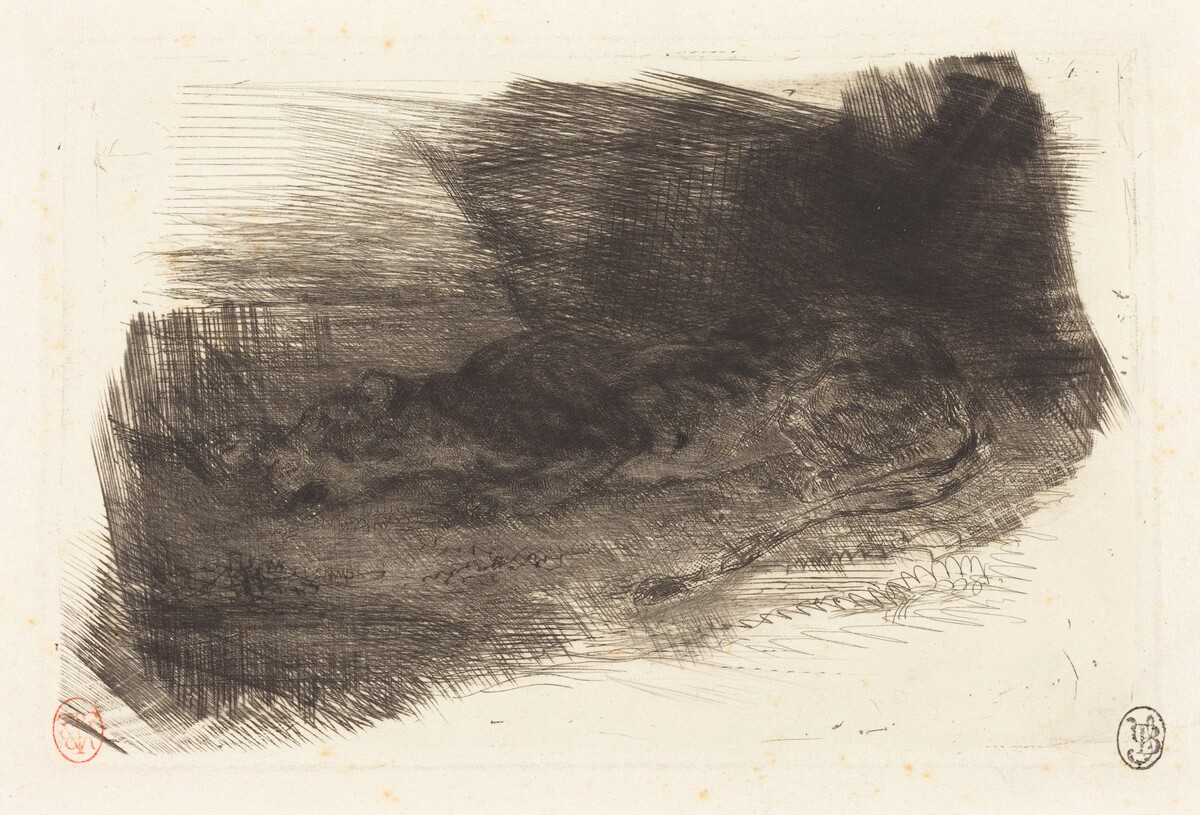 Tiger Sleeping at the Entrance to its Lair (Tigre couché à l'entrée de son antre) by Eugène Delacroix