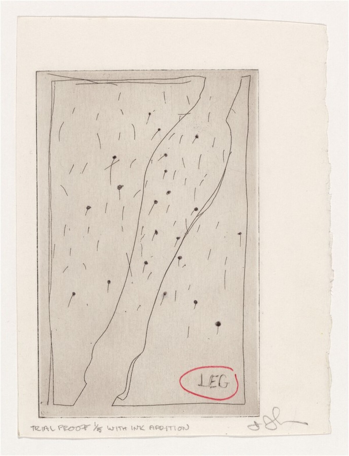 Leg (a) [trial proof 1] by Jasper Johns