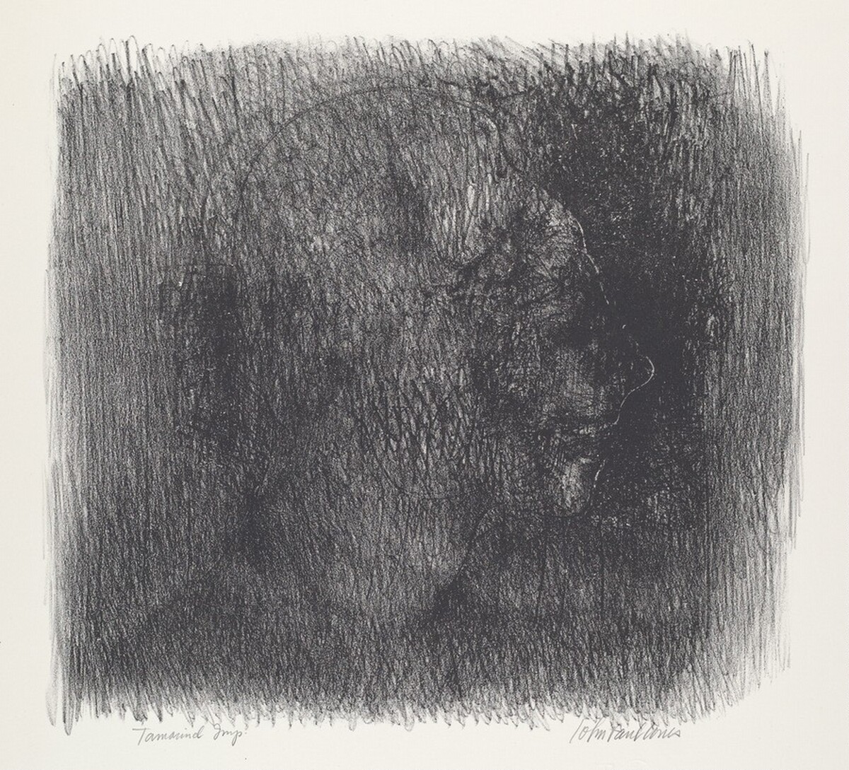 Untitled by John Paul Jones