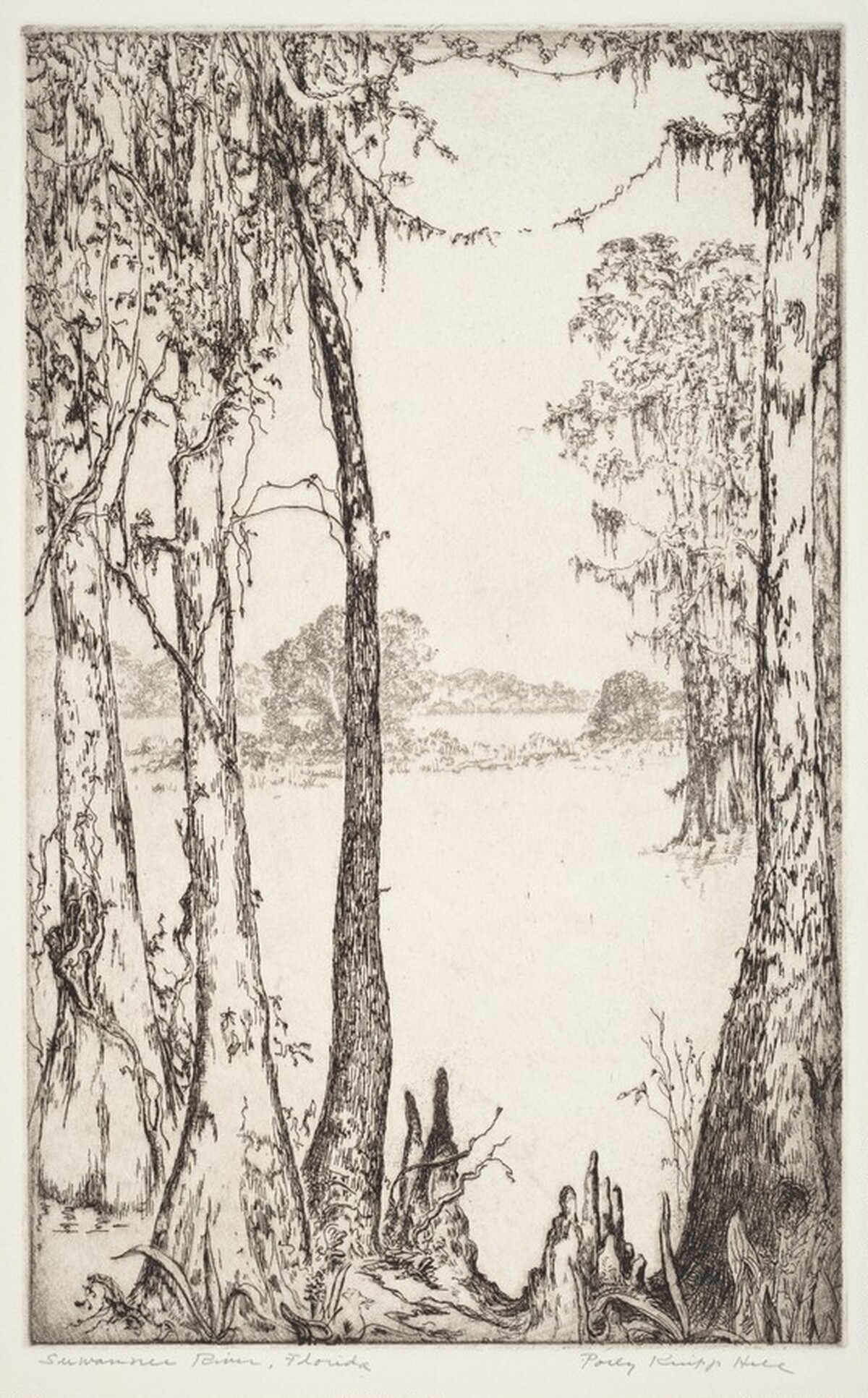 Suwannee River by Polly Knipp Hill