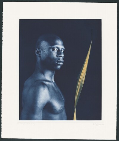 Untitled #4