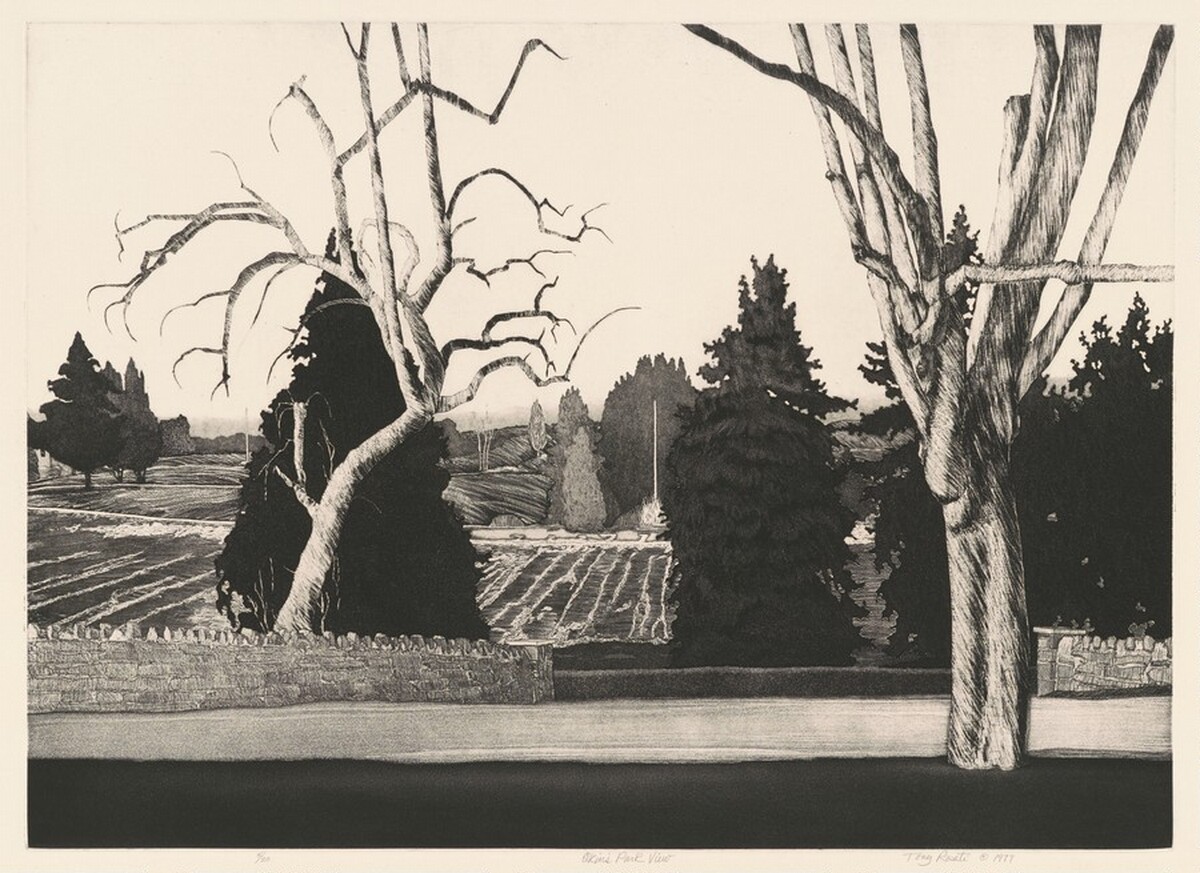 Elkins Park View by Tony Rosati