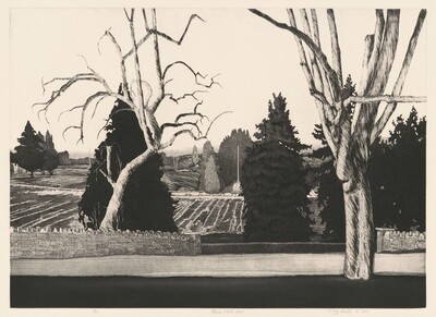 Elkins Park View