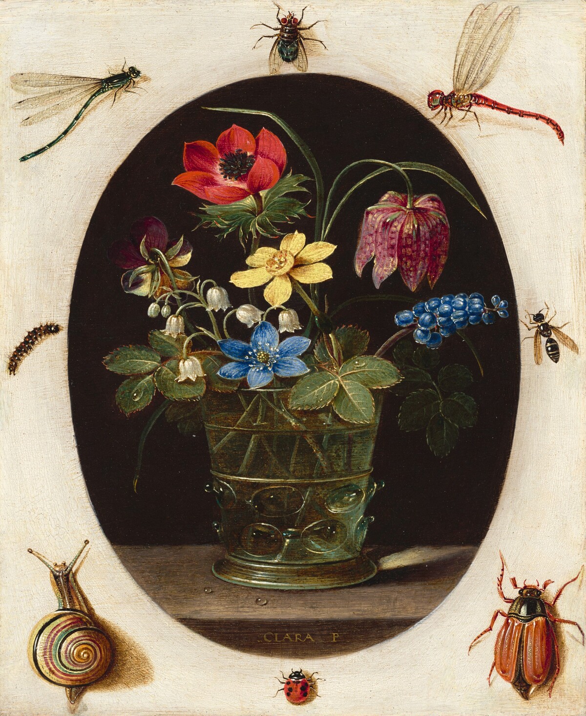Still Life with Flowers Surrounded by Insects and a Snail by Clara Peeters