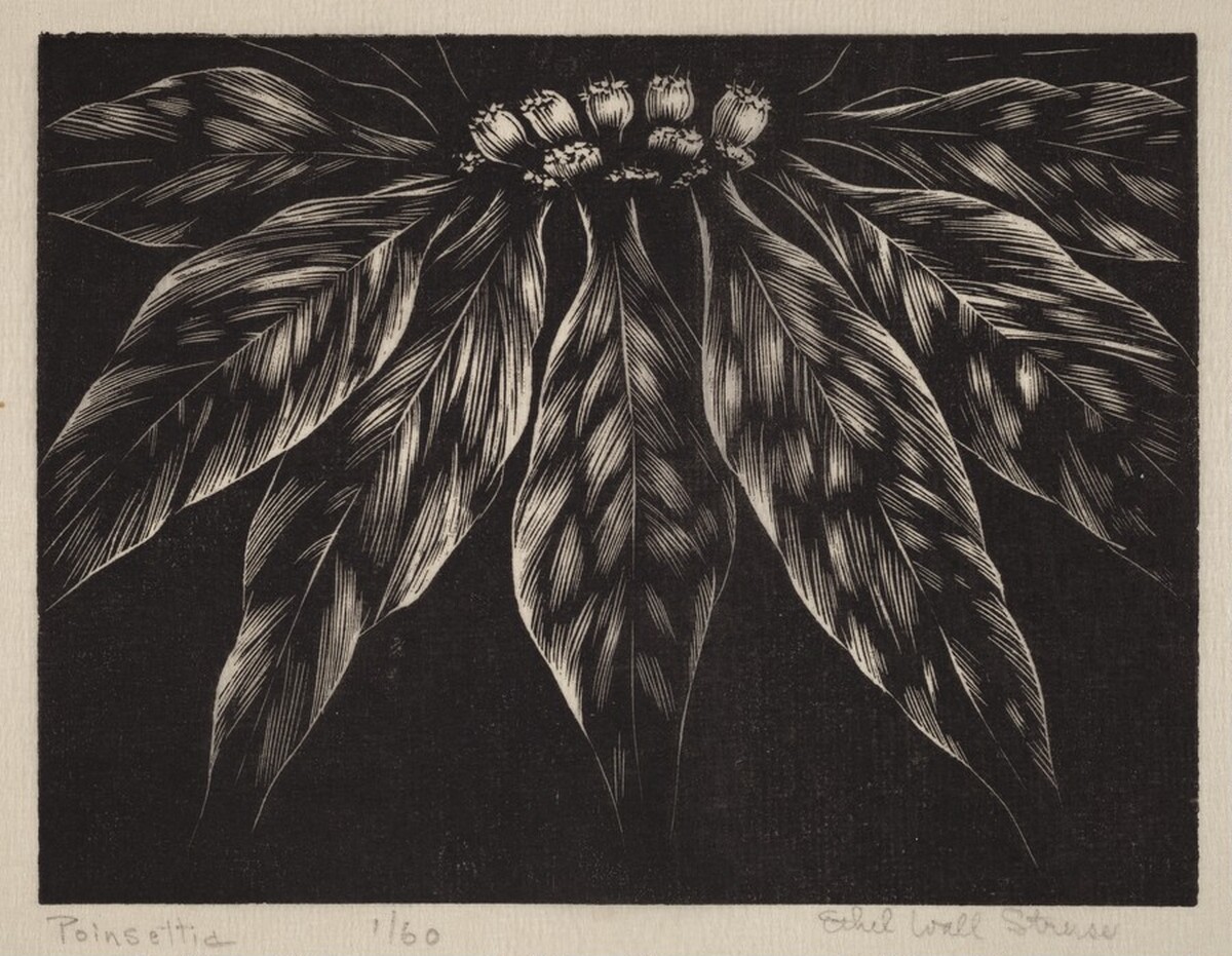 Poinsettia by Ethel Wall Struss