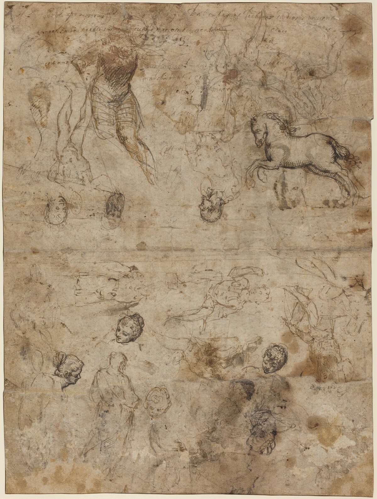 Sheet of Studies by Italian 16th Century