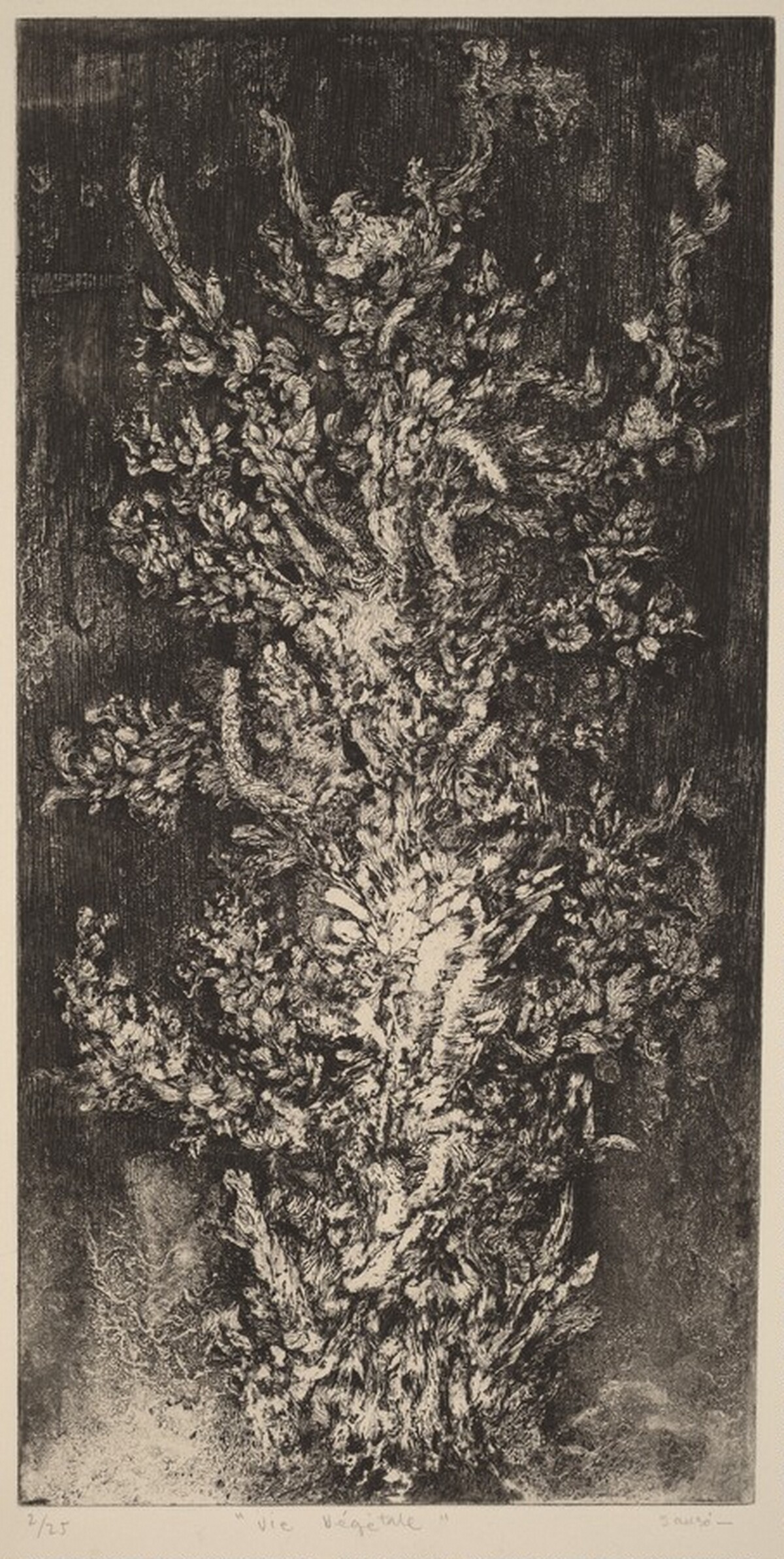 Vie Vegetale by Juvenal Sansò