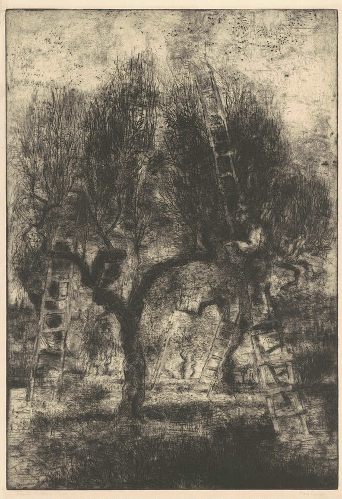 Olive Pickers by Moishe Smith