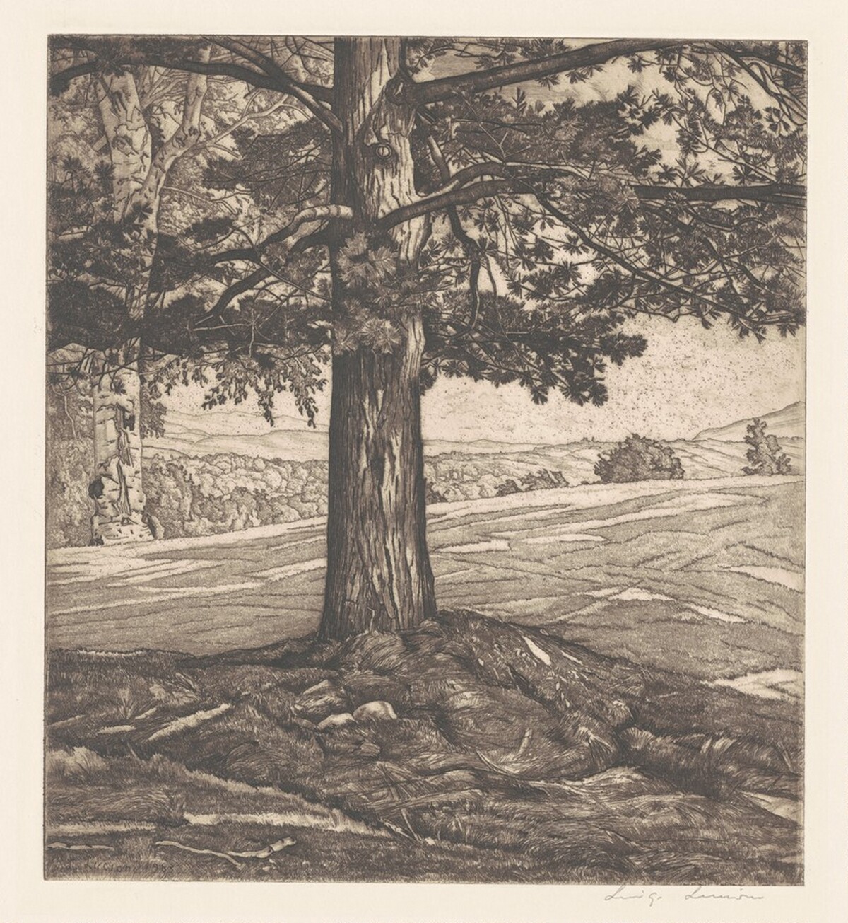 Beyond the Pine by Luigi Lucioni