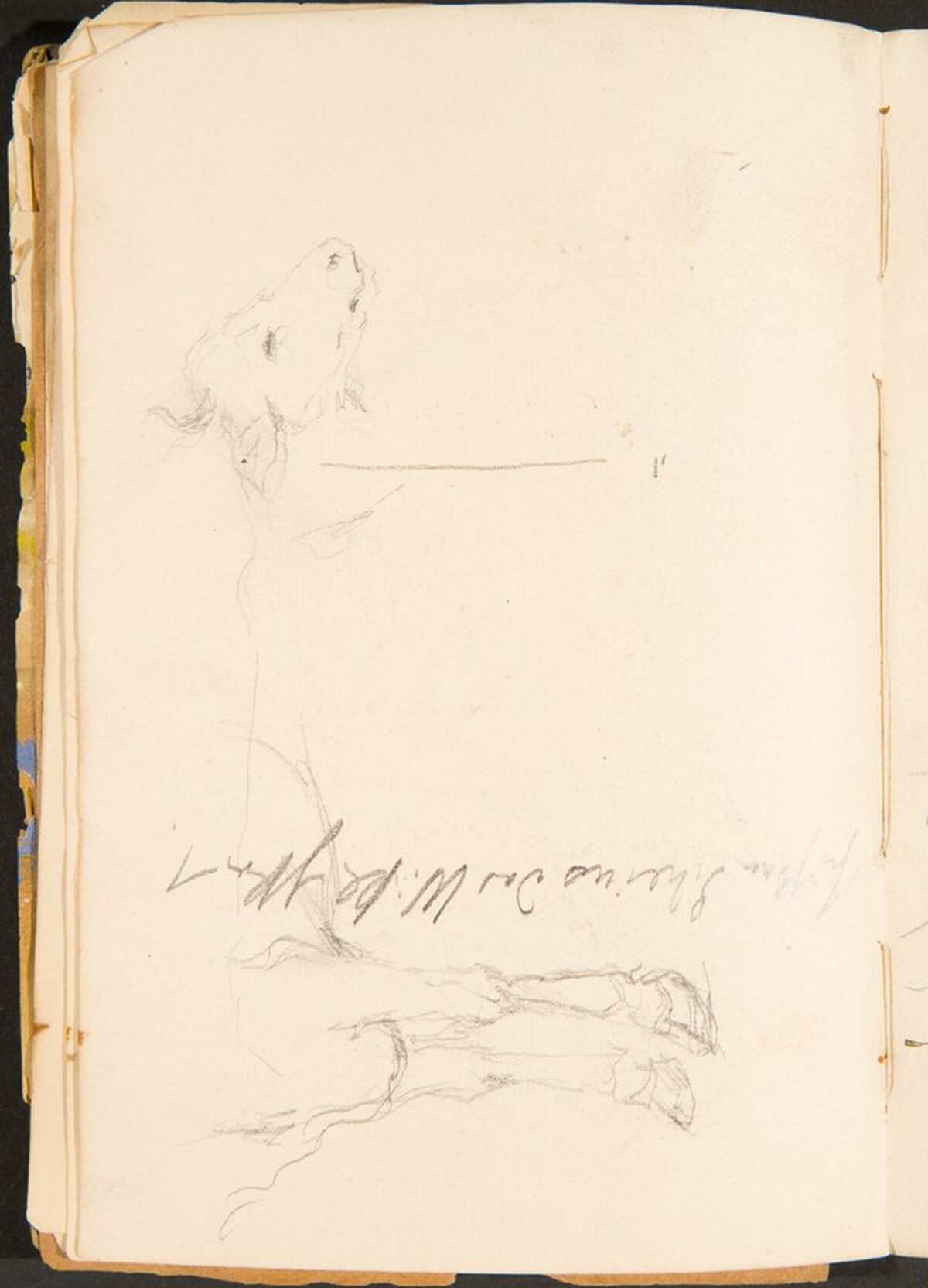 Detailstudien eines Ochsen, Notizen (Details of a Bullock, Notation) [p. 10] by Max Beckmann
