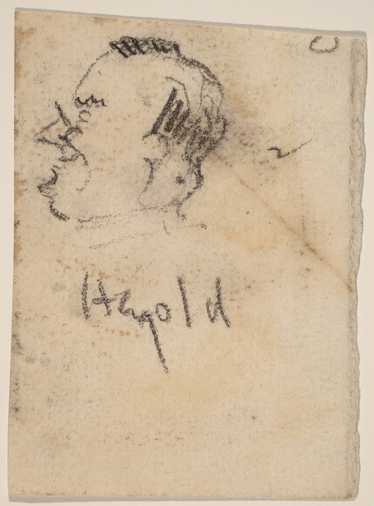 Harold (profile) by Alfred Bendiner
