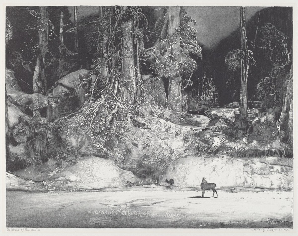 Solitude of the North by Charles Shepard Chapman