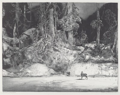 Solitude of the North