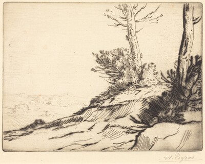 Hill with Bushes (La butte aux brousailles)
