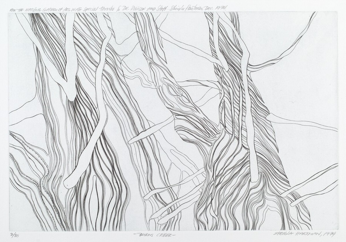 Burns Creek by Sheigla Hartman