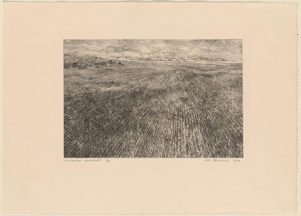Cultivated Landscape by Tom Edwards