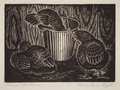 Three Old Hens