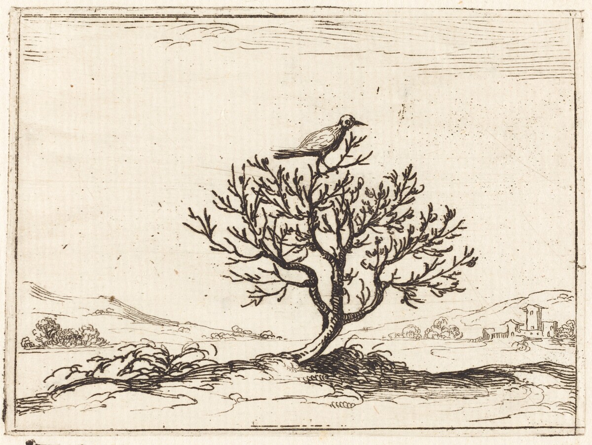 Nightingale in a Bush by Jacques Callot