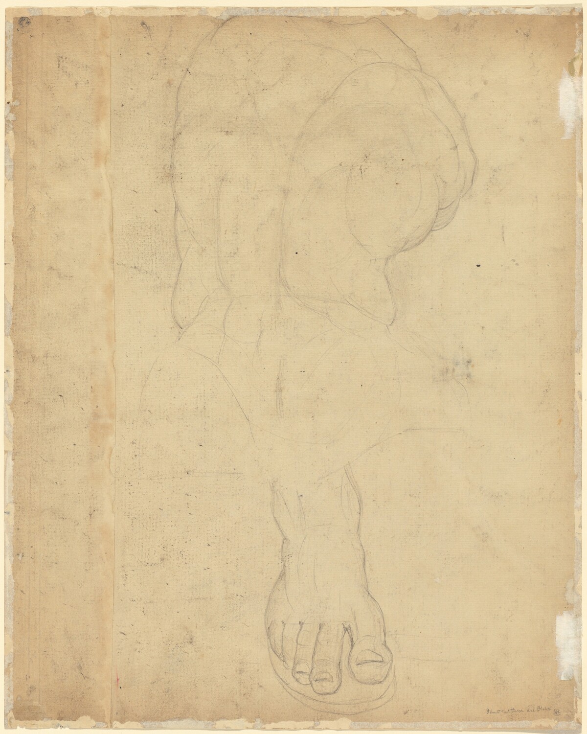 The Belvedere Torso [verso] by William Blake