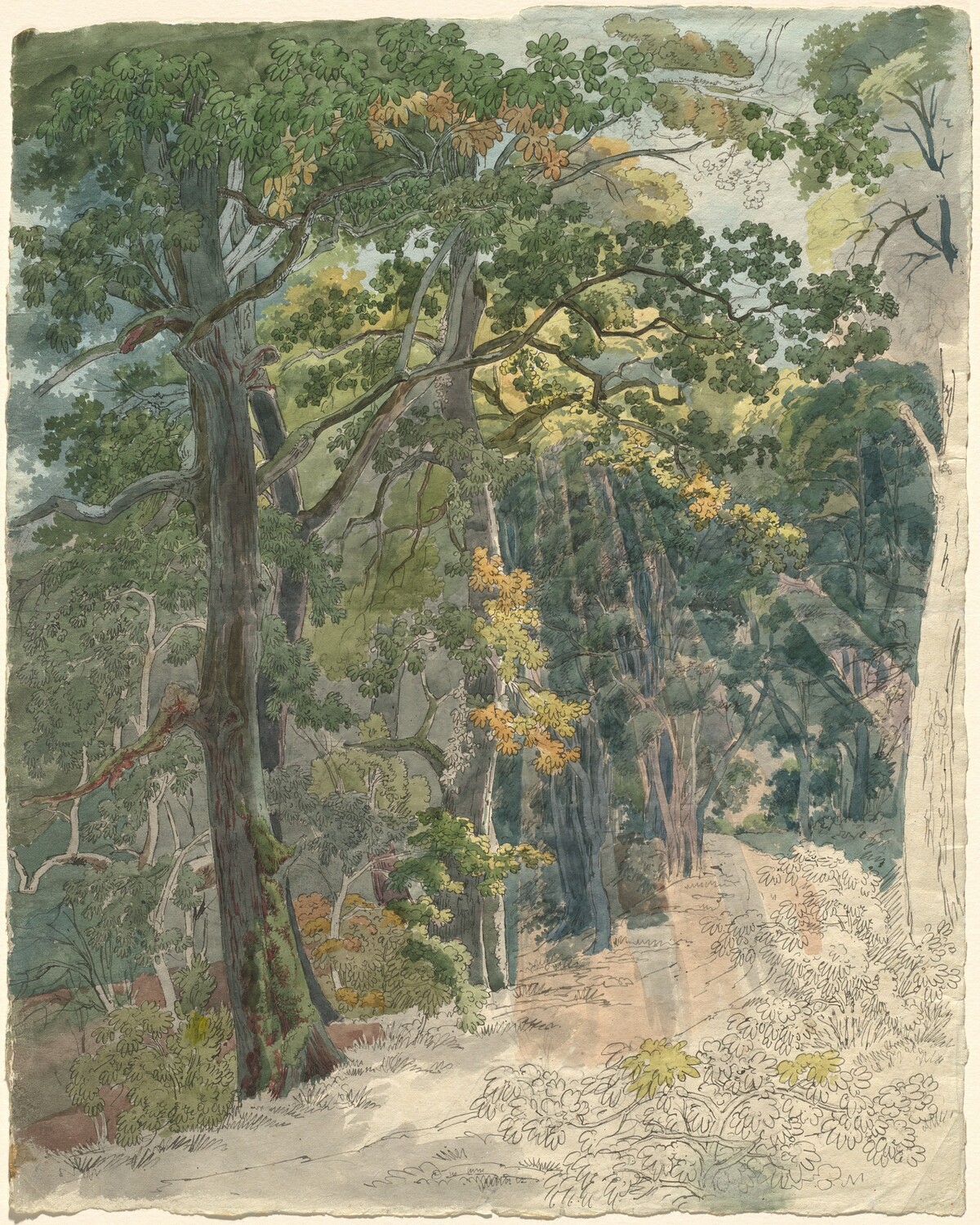 Rays of Sunlight Striking a Woodland Path by Friedrich Salathé