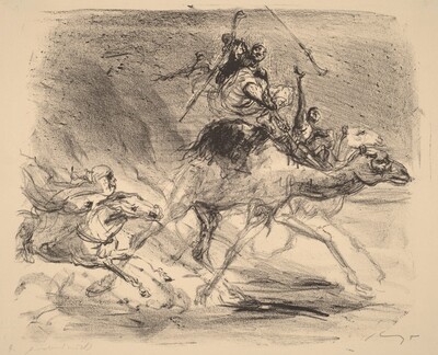 Camel Rider