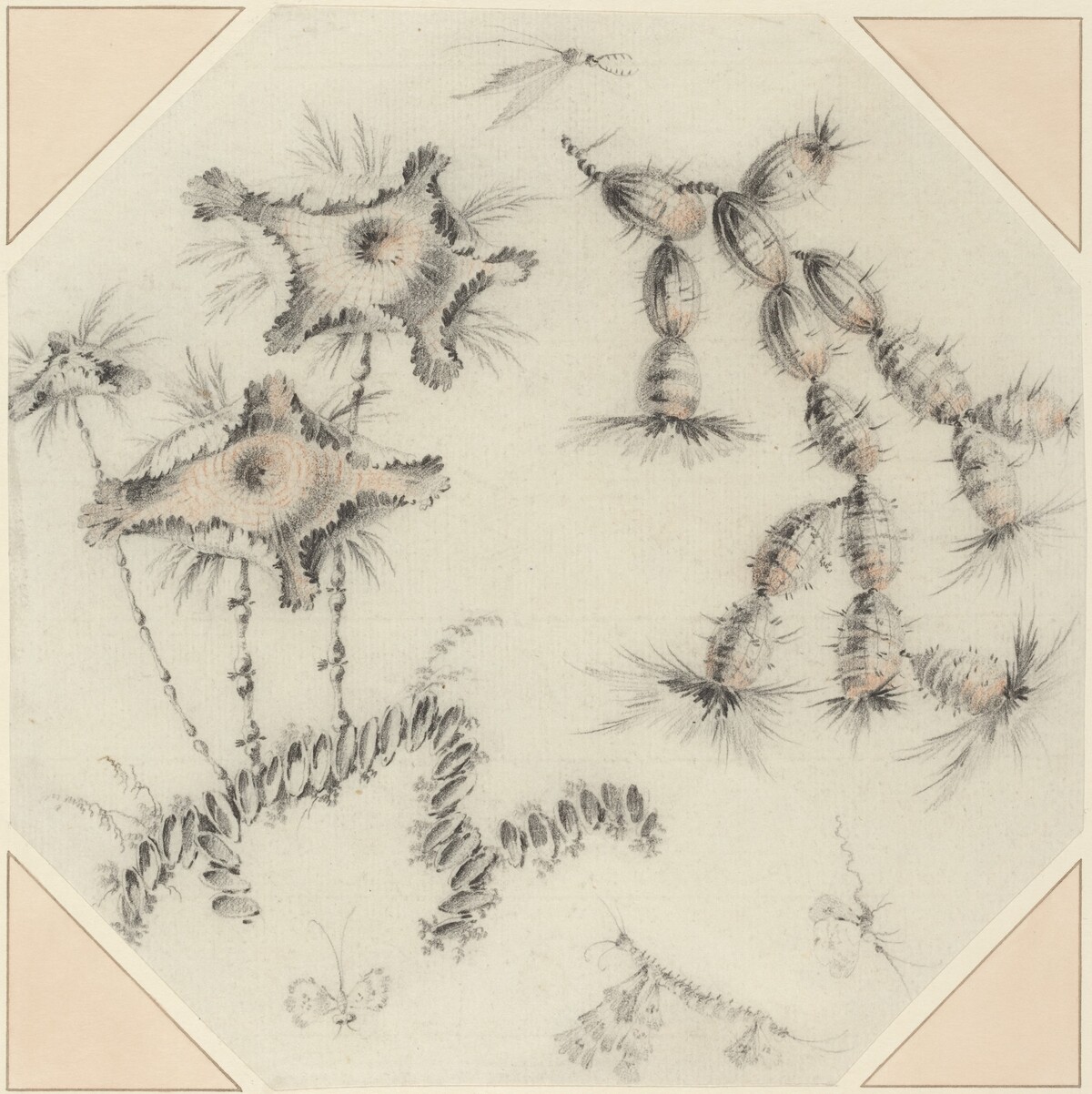 Bamboo Flowers and Cactus by Jean-Baptiste Pillement