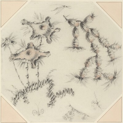 Bamboo Flowers and Cactus