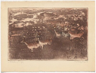 Antelopes