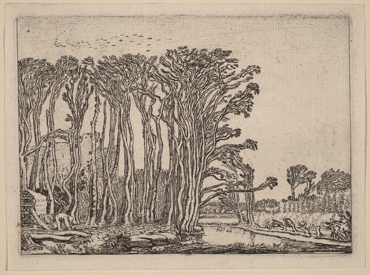 The Charcoal-Burner by Willem Buytewech