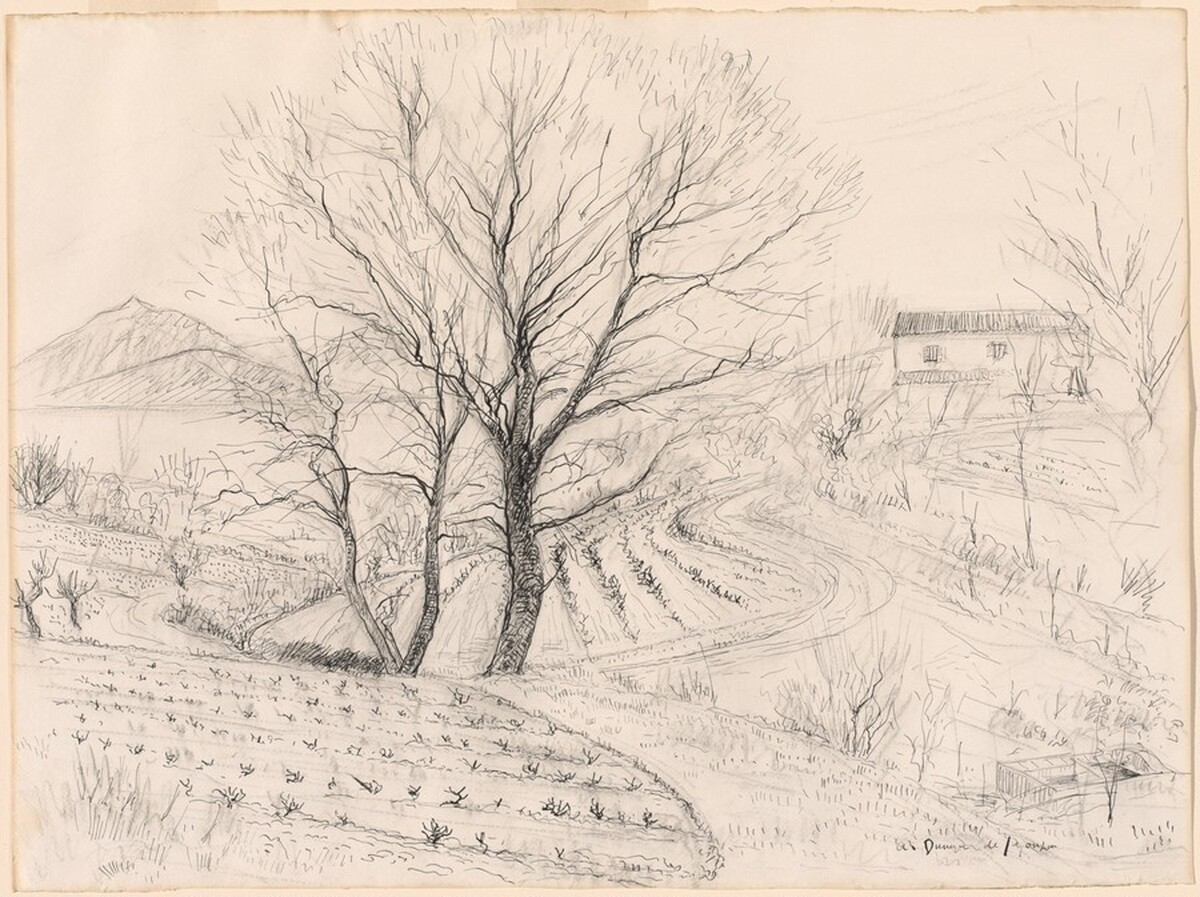 Environs de St. Tropez by André Dunoyer de Segonzac