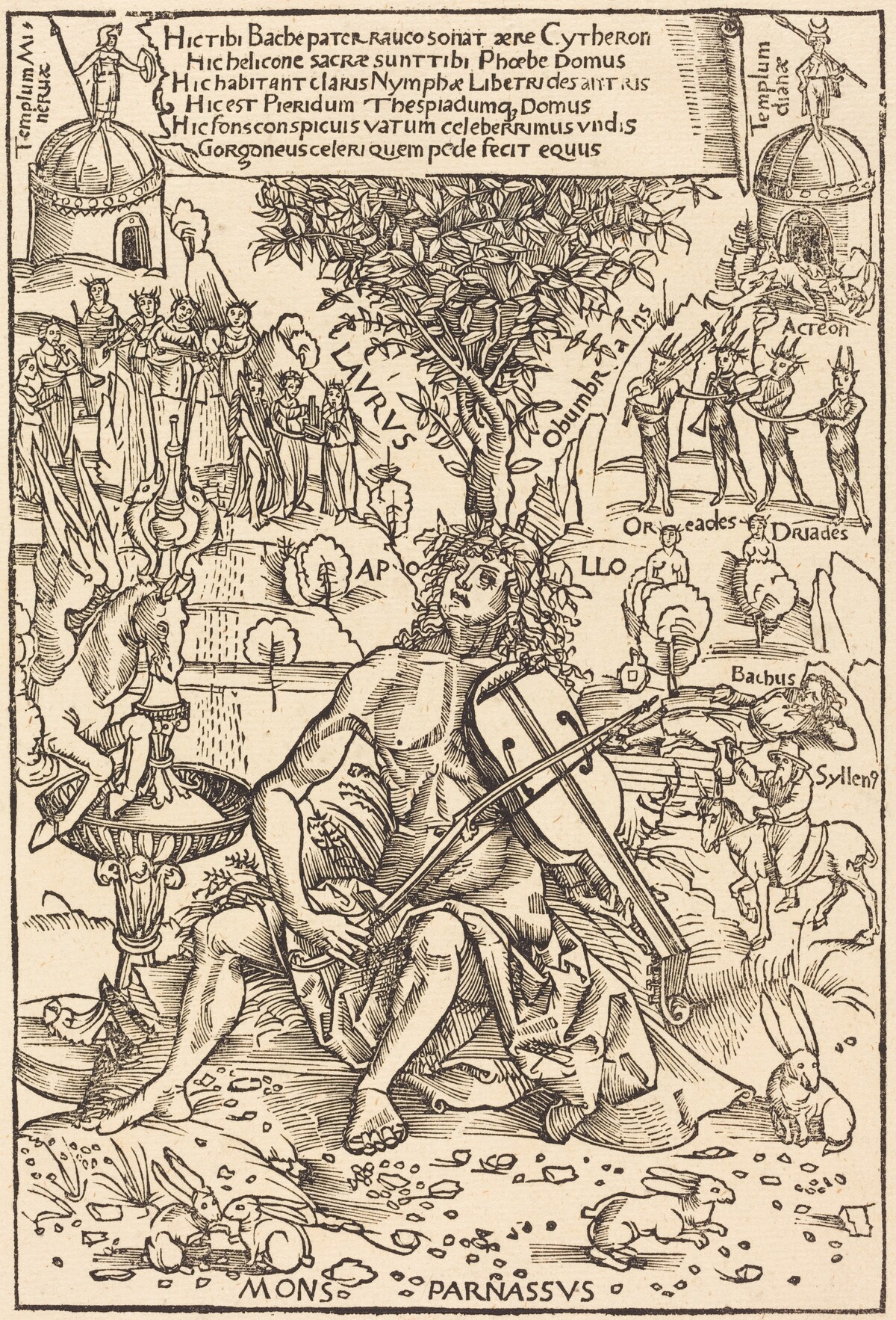 Apollo on Parnasus by Hans Süss von Kulmbach