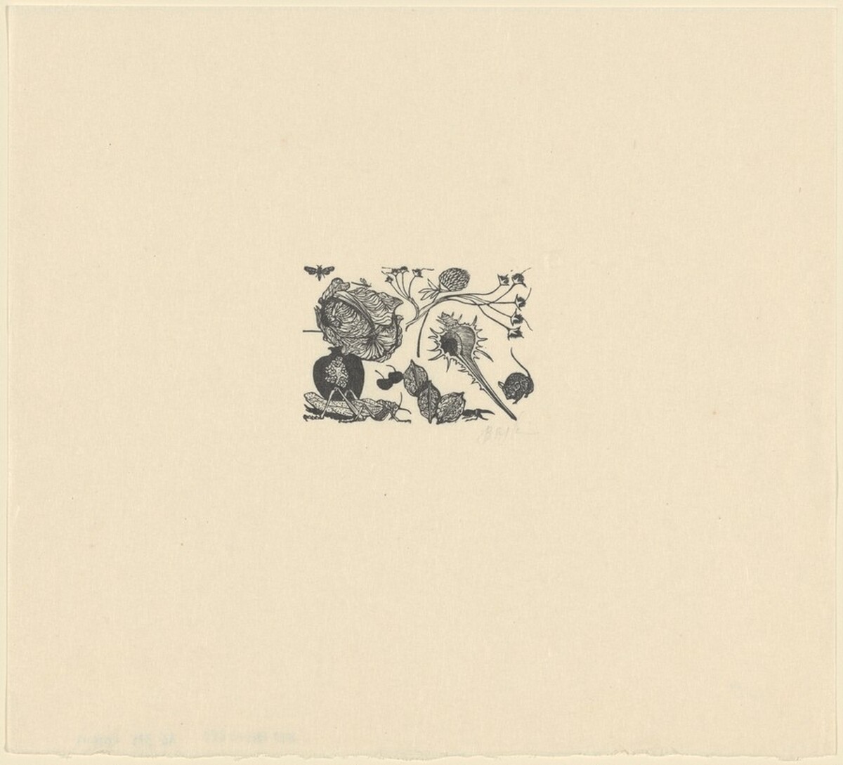 Still Life by Leonard Baskin
