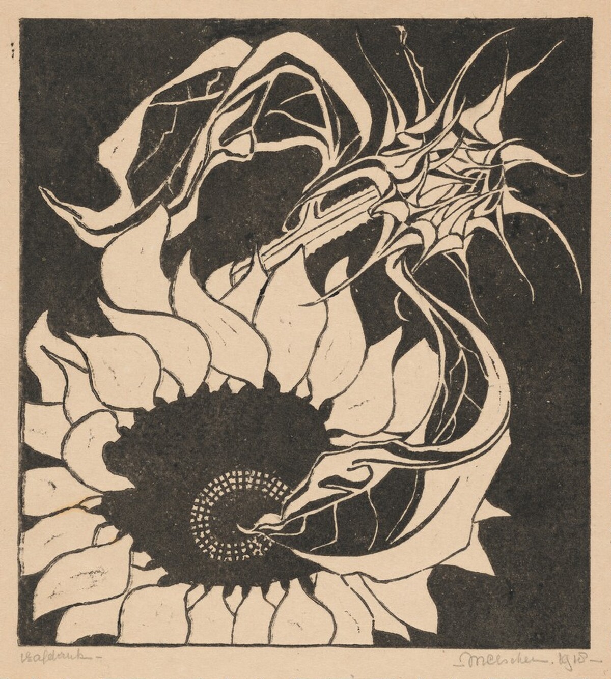 Sunflowers by M.C. Escher