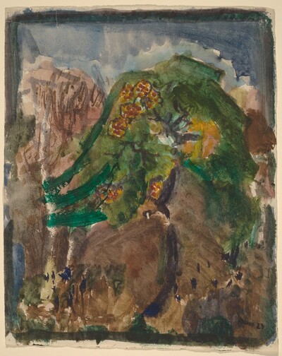 Landscape