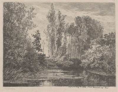 Stags at the Waterside