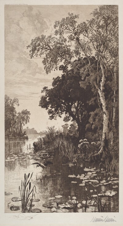Untitled (Summer)