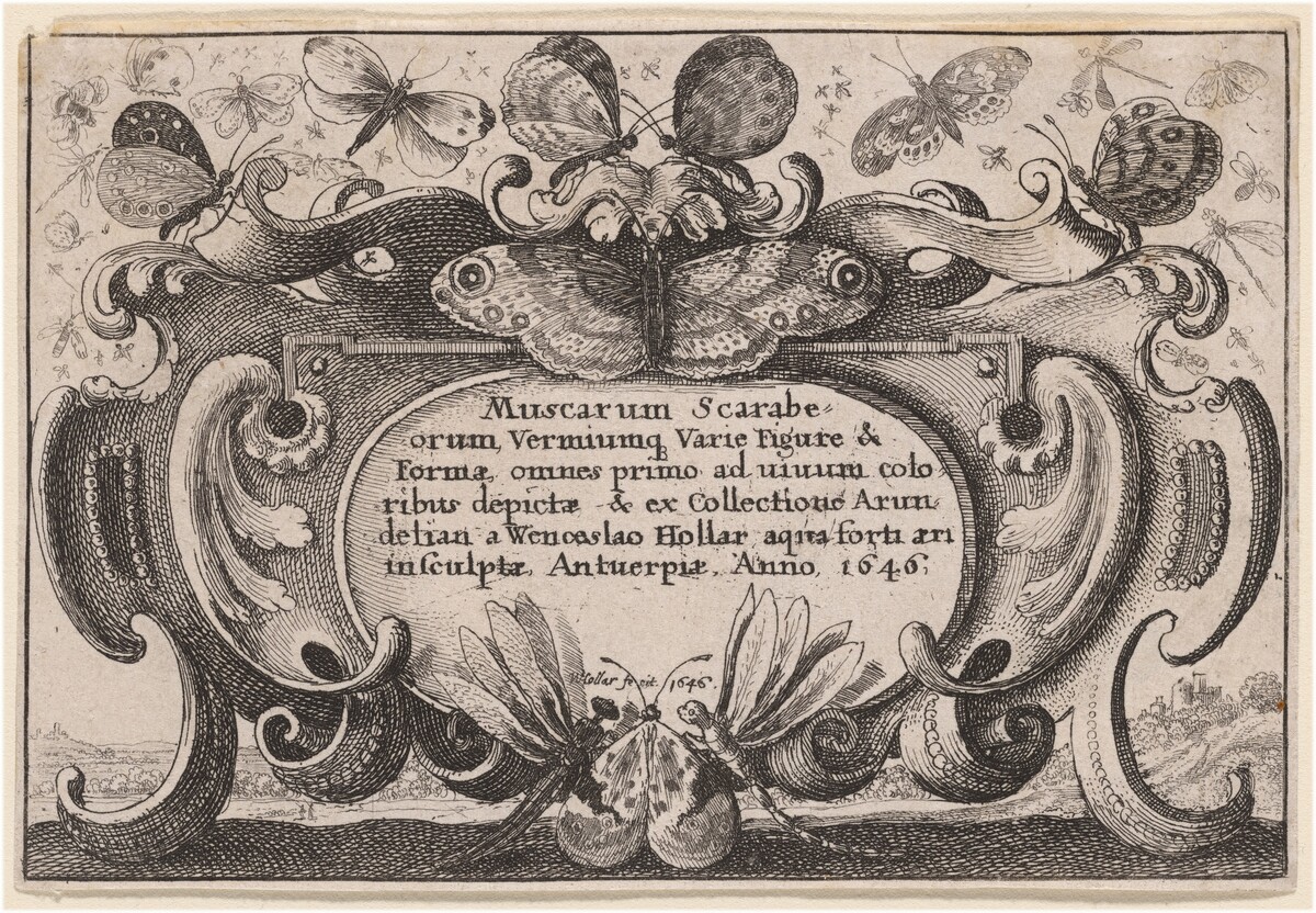 Title Page by Wenceslaus Hollar