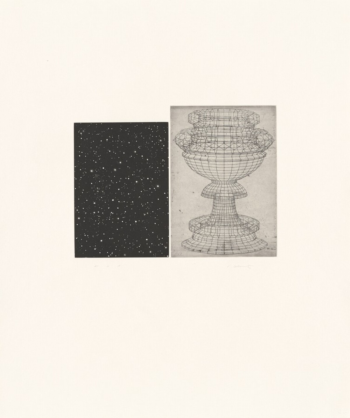 Constellation—Uccello by Vija Celmins