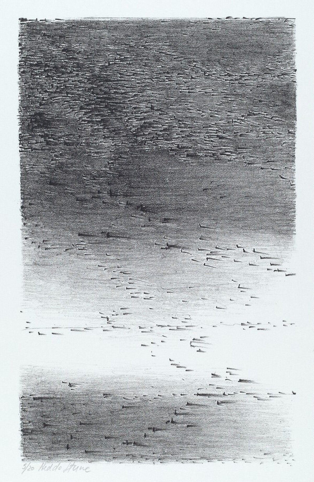 Untitled by Hedda Sterne