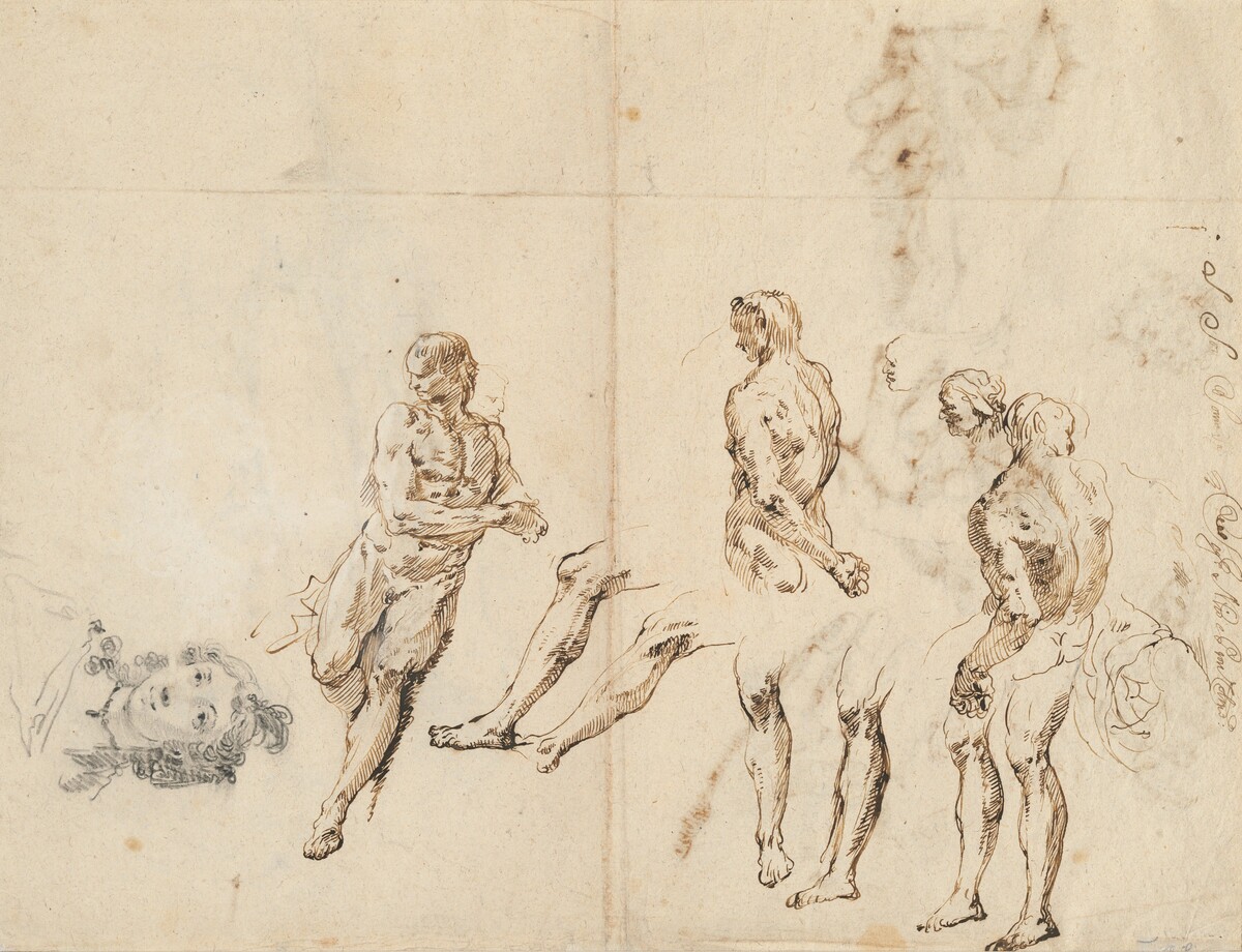 Head of a Woman and Studies of a Male Nude [verso] by Francesco Fontebasso