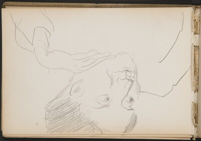 Weiblich Bildnistudie, Sabine Hackenschmidt (Portrait of Sabine Hackenschmidt) [p. 14]