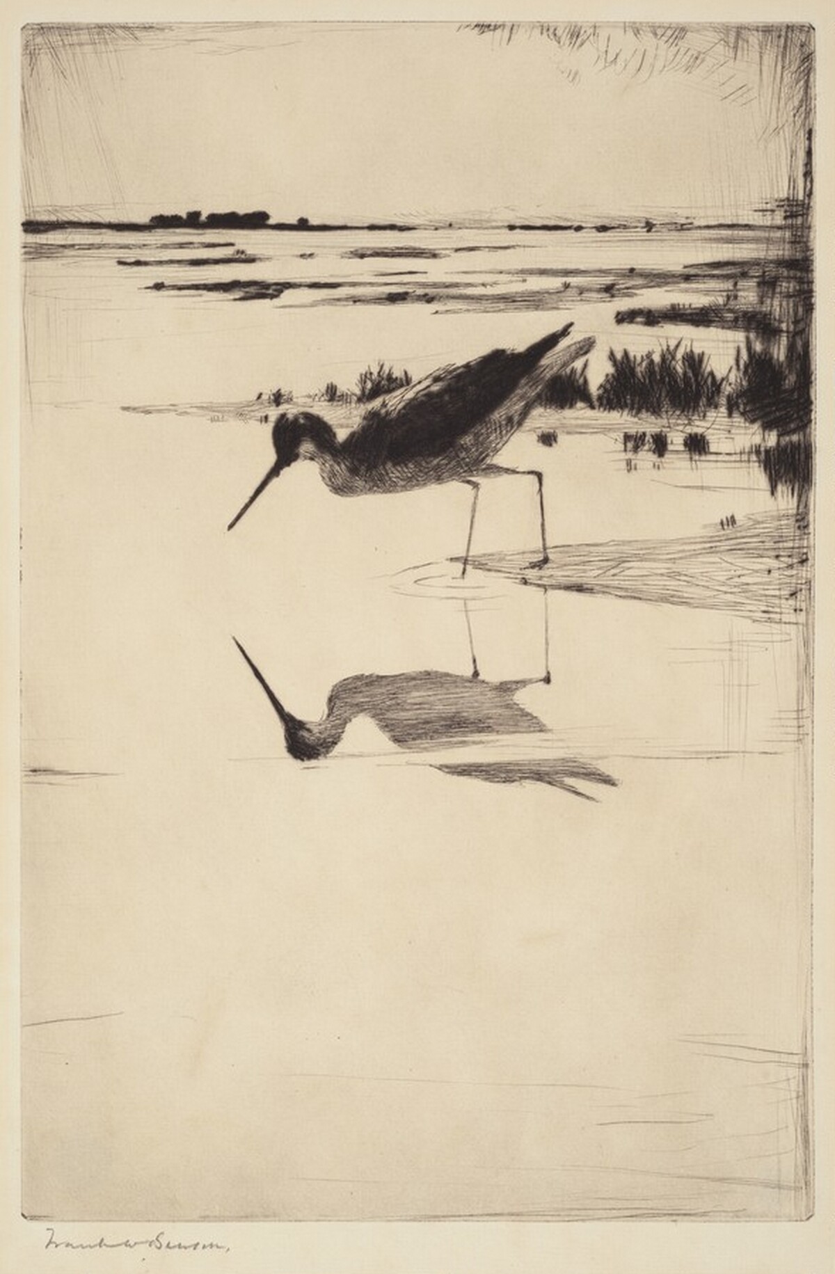 Lone Yellowlegs by Frank Weston Benson
