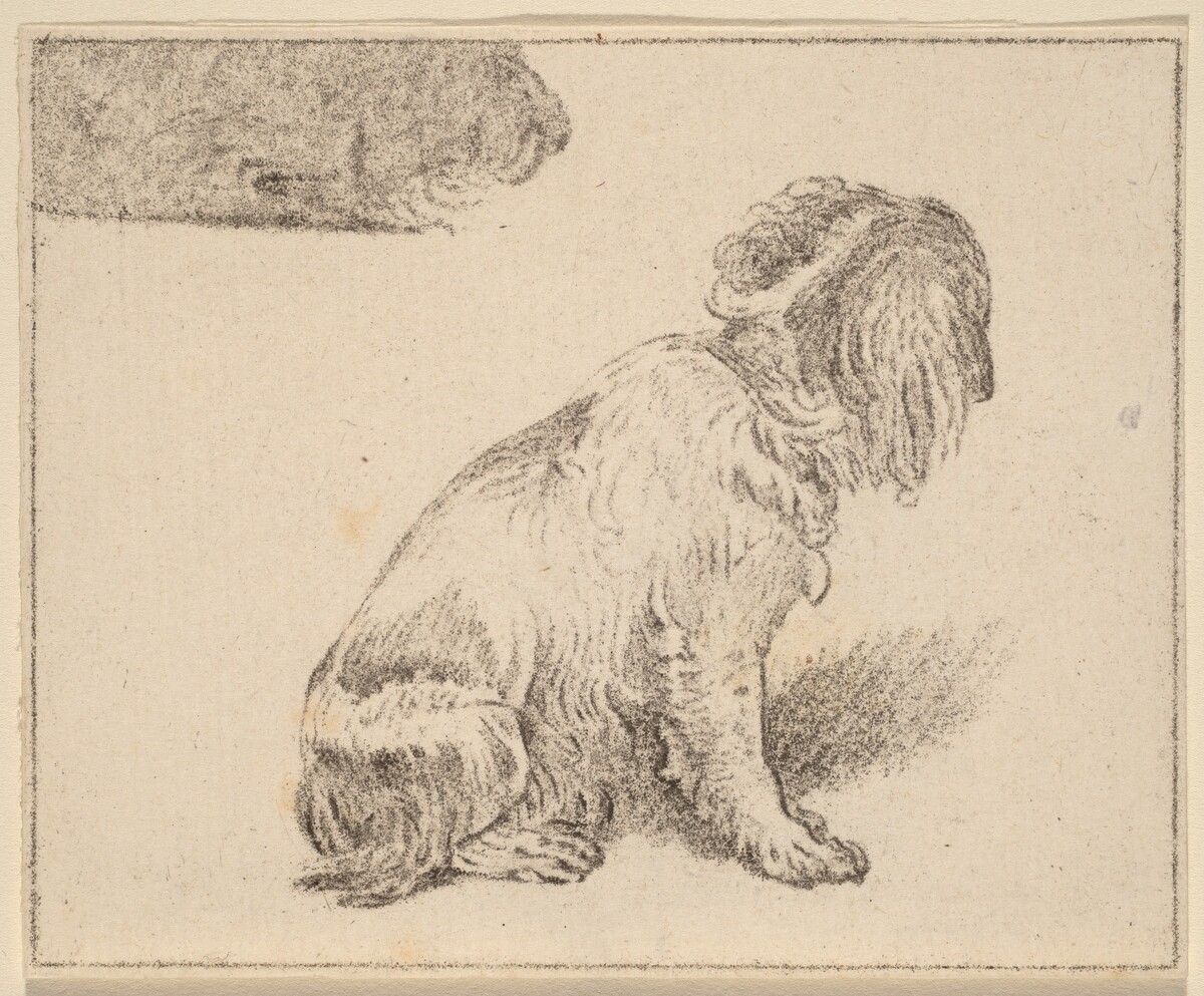 Seated Dog by Cornelis Ploos van Amstel (editor) and Cornelis Brouwer (printmaker), after Frans van Mieris