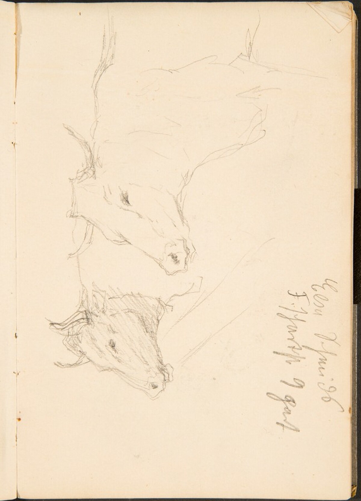 Zwei Studien eines Ochsenkopfes, Notizen  (Two Studies of a Bullock's Head, Notation) [p. 9] by Max Beckmann