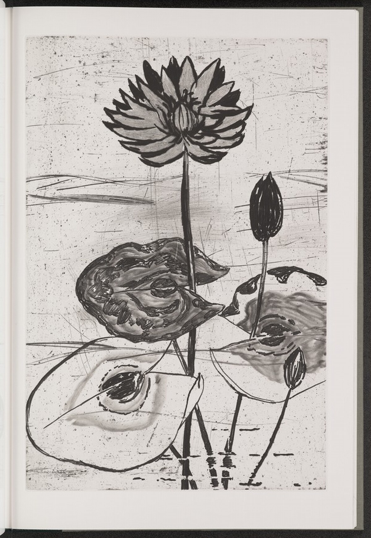 Blue Egyptian Water Lily by Jim Dine